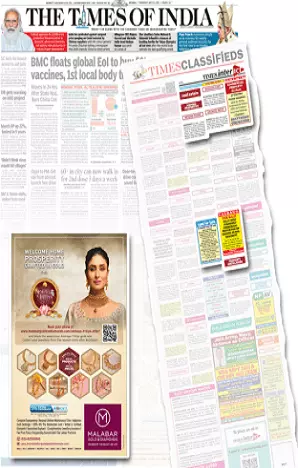 Maharashtra Times tearsheet proof